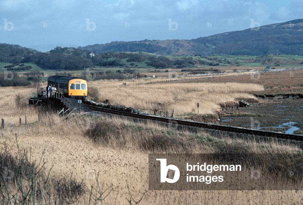 Train on the River Dovey estuary Marshlands, Wales, Great Britain, 1982 (photo)
