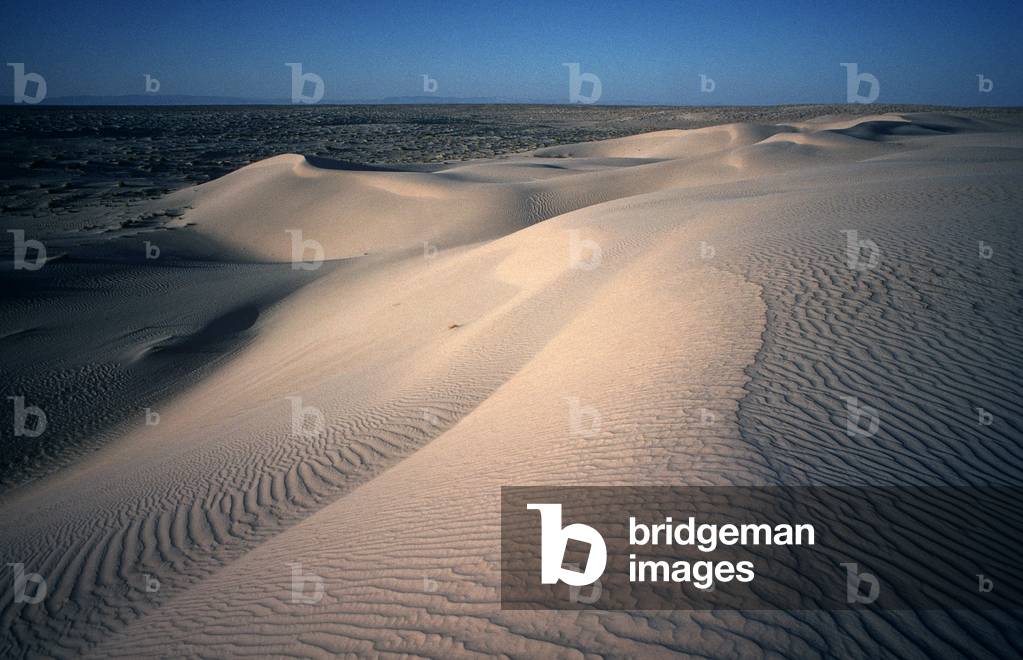 Sahara desert, South Tunisia, Tunisia, North Africa (photo)