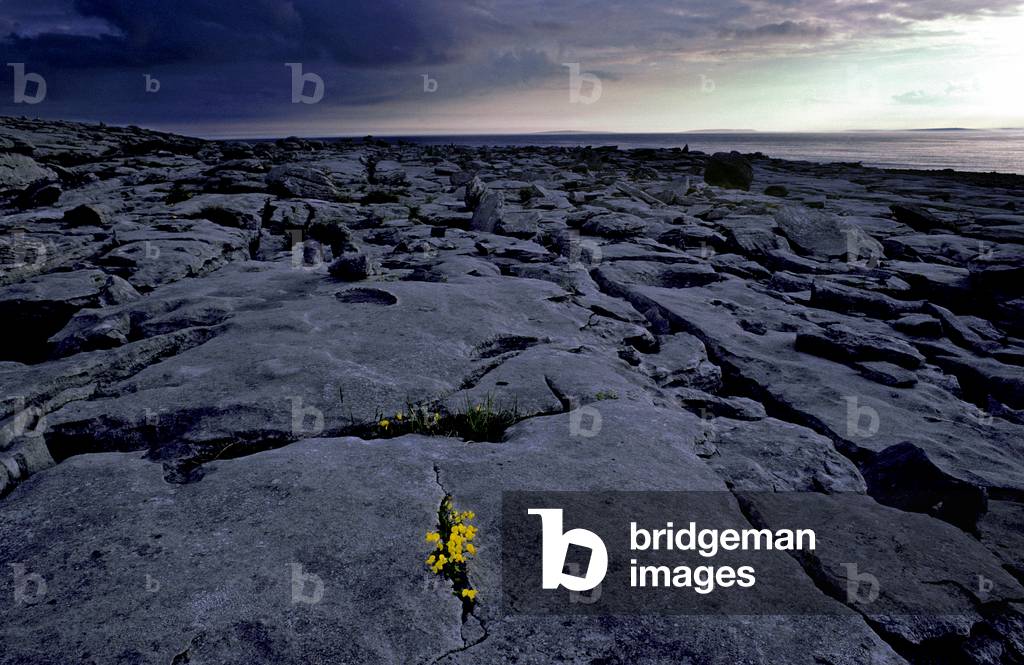 Limestone pavements in the Burren (photo)