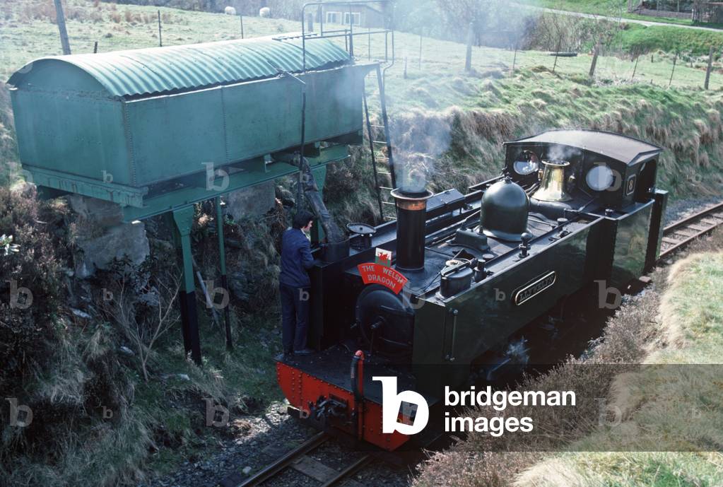 Steam train taking on water at Aberffrwd stop, on the Vale of Rheidol line, British Rail last operating steam trains, Wales, 1982 (photograph)