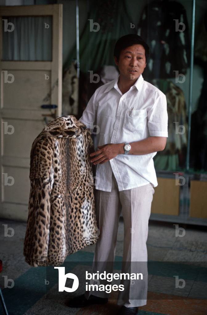 Owner of Harbin Fur Factory holding fur coat made from endangered animal skin, Heliongjiang Province, China (photo)