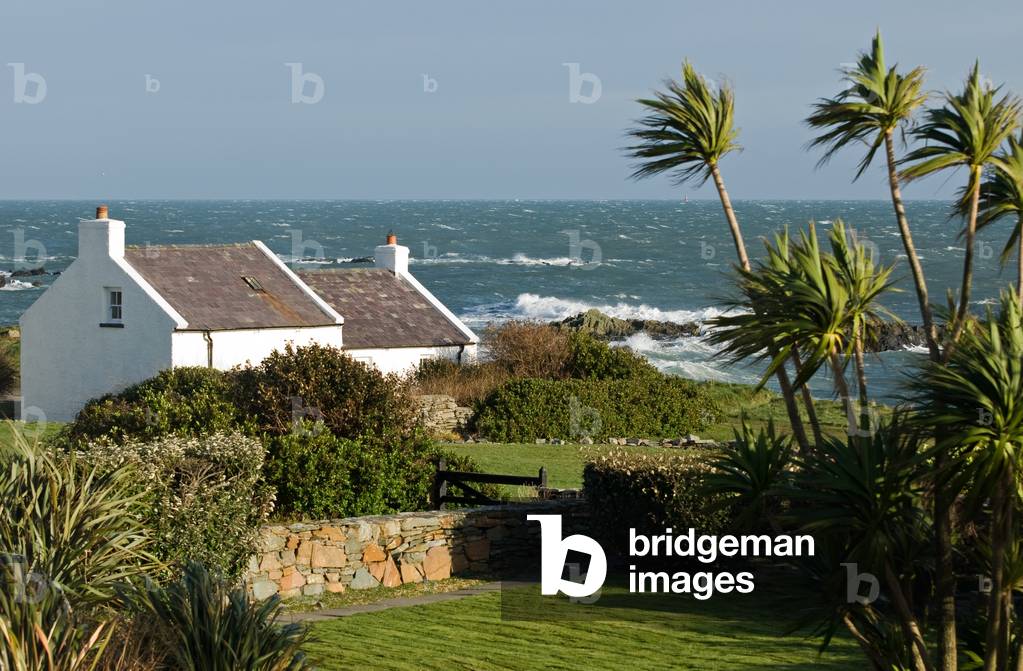 Kearney Village, County Down, Northern Ireland, 2019 (photo)