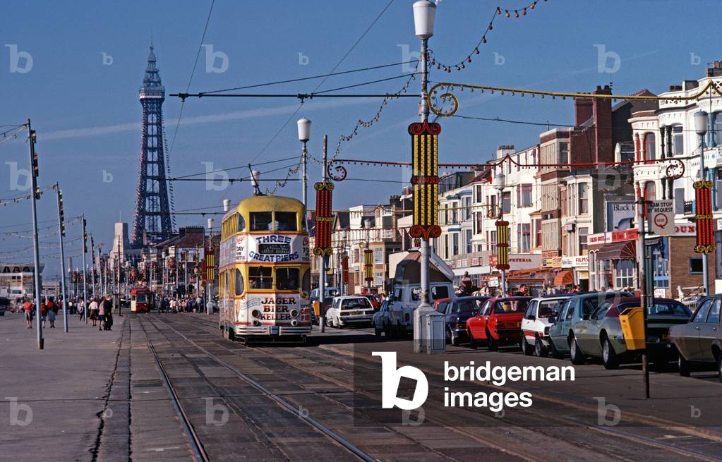 Blackpool trams on promenade  with Blackpool Tower in background, Lancashire (photo)