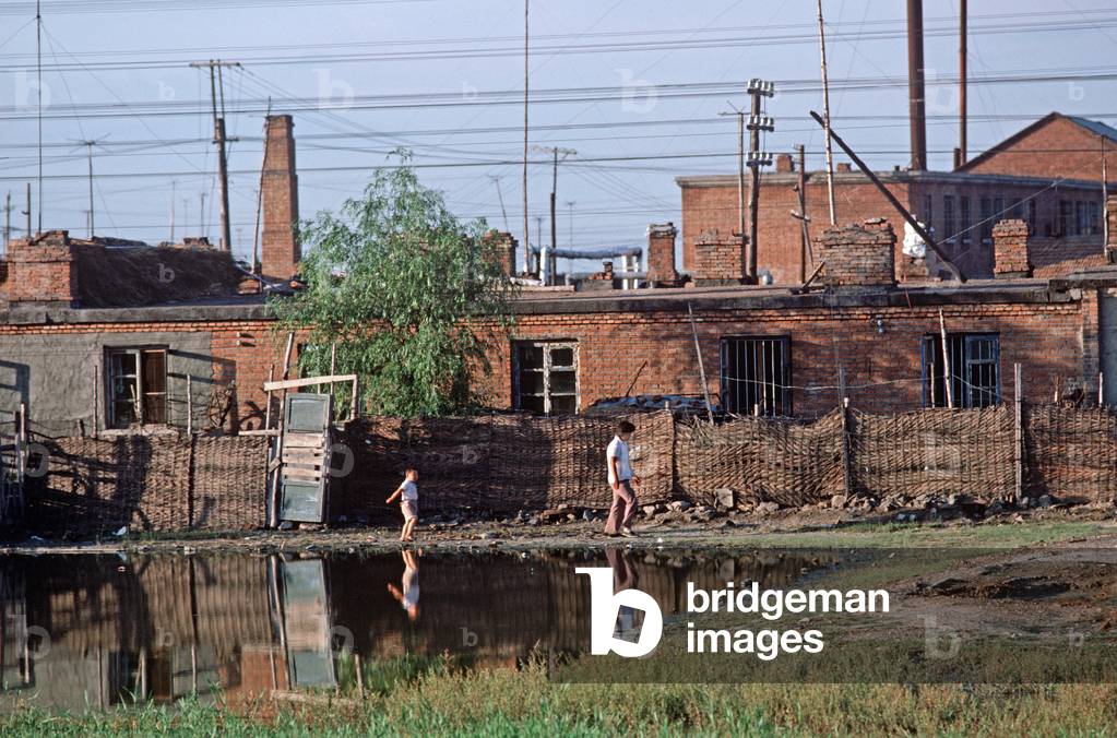 Rural village in Heilongjiang Province, China (photo)