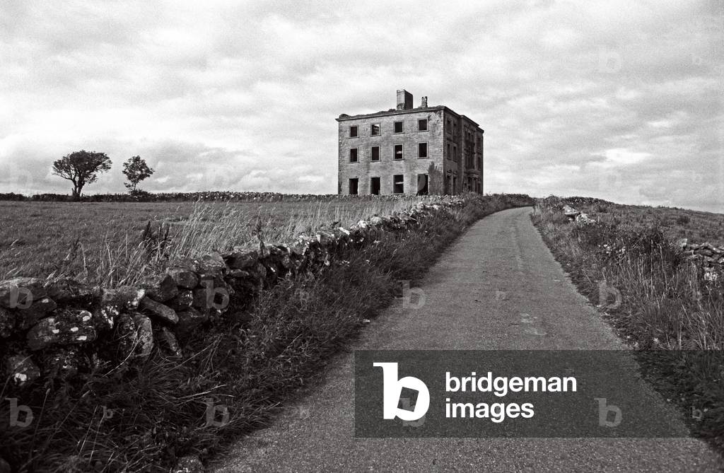 Tyrone House Ruins, County Galway, Ireland. Burnt Down By The Local Irish Republican Army During The Irish War Of Independence  In 1920. Referred To By W. B. Yeats In 'The Curse Of Cromwell'.  (photo)