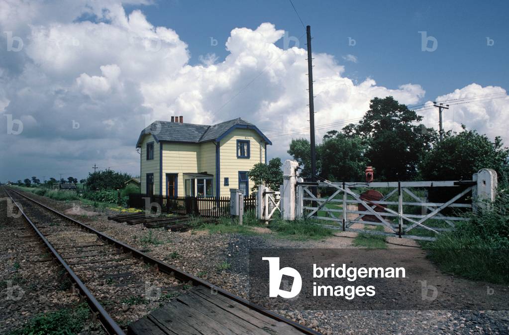 Railway level crossing near Tunstead on the Norwich to Sheringham line, Norfolk, England, 1982 (photograph)
