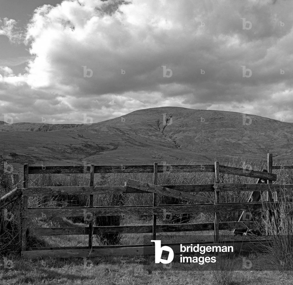 Wooden Fence, Sperrin Mountains, Northern Ireland (b/w photo)