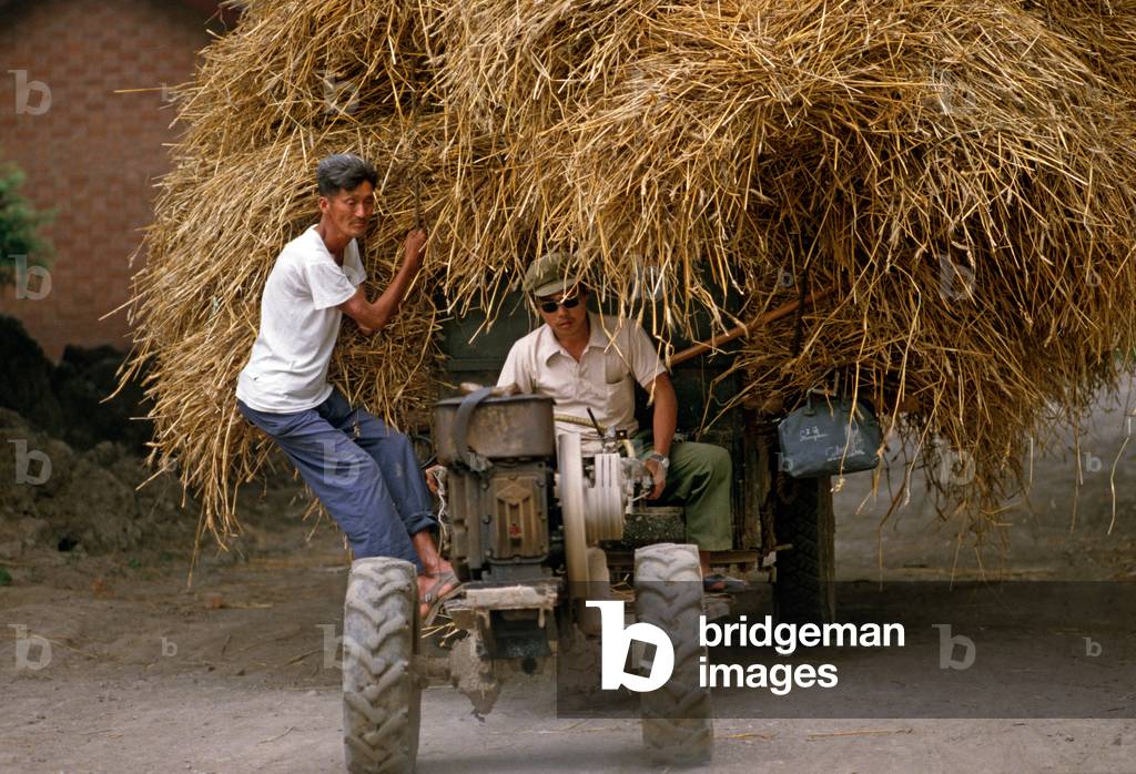 Tractor driven hay cart in Nanjing, Jiangsu Province, China (photo)