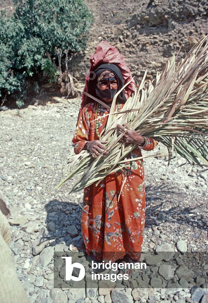Traditional desert reed gatherers Dubai desert, United Arab Emirates, UAE