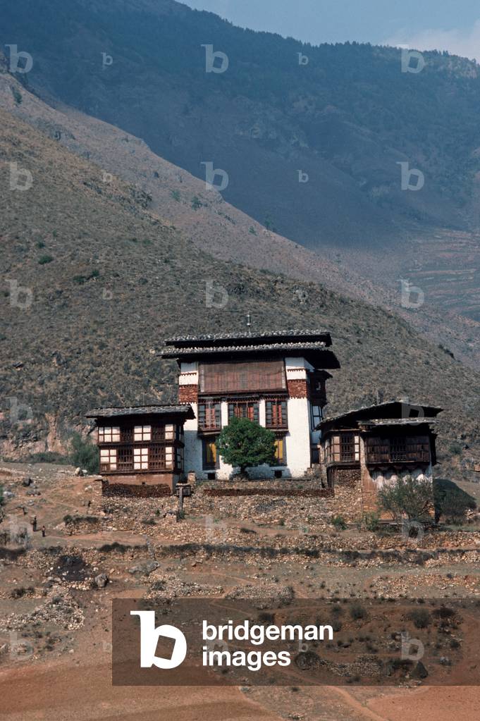 Bhutanese houses in Paro valley, Bhutan, Himalayas (photo)