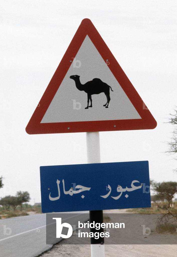 Camel crossing road sign in Dubai, United Arab Emirates