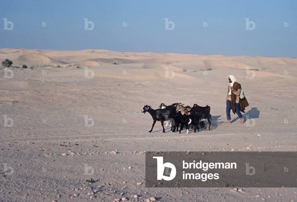 Bedouin goat herder, Tunisian Sahara desert, South Tunisia, North Africa (photo)