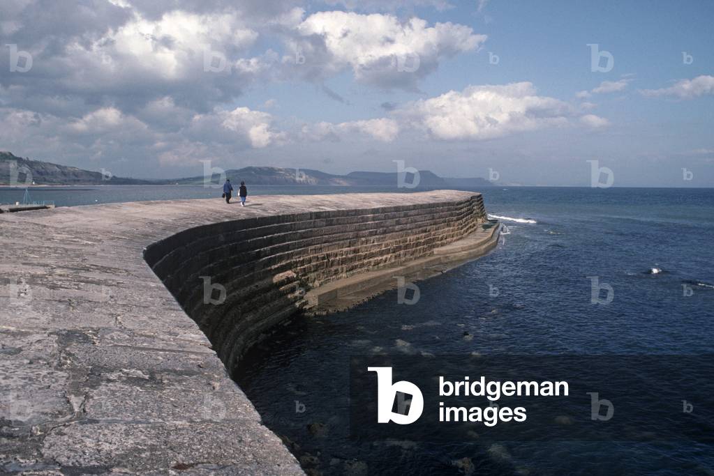 The Cobb, Lyme Regis, Dorset, England, Great Britain, UK (photo)