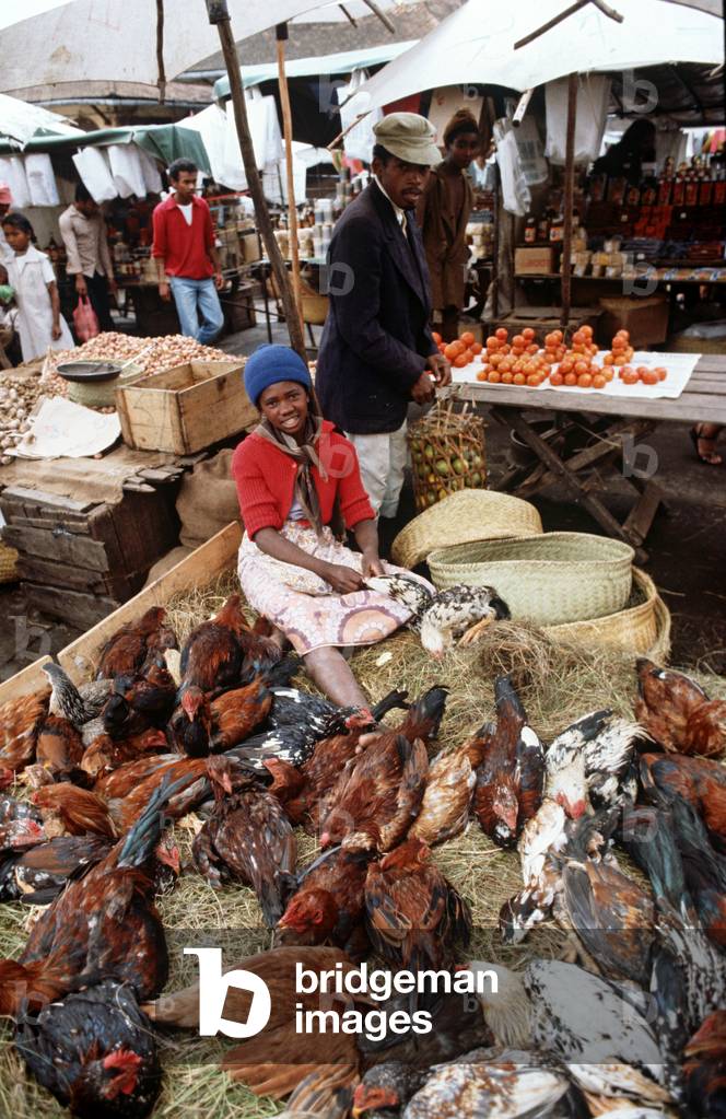 Chickens in Antananarivo market, Madagascar, East Africa, Africa, 1980s (photo)