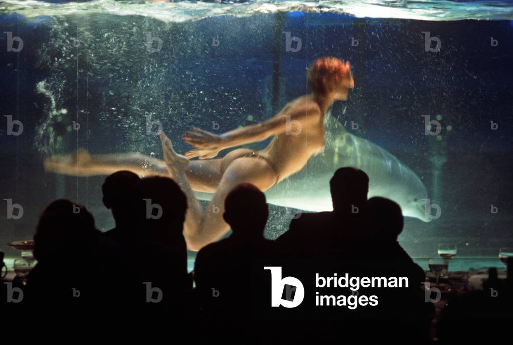 Swimmer with dolphin in tank in Moulin Rouge Cabaret, Clichy, Paris, France (photo)