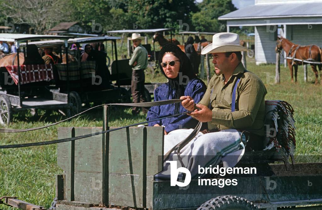 Orthodox Mennonites in horse and buggies, Belize, Central America, June 1985 (photo)