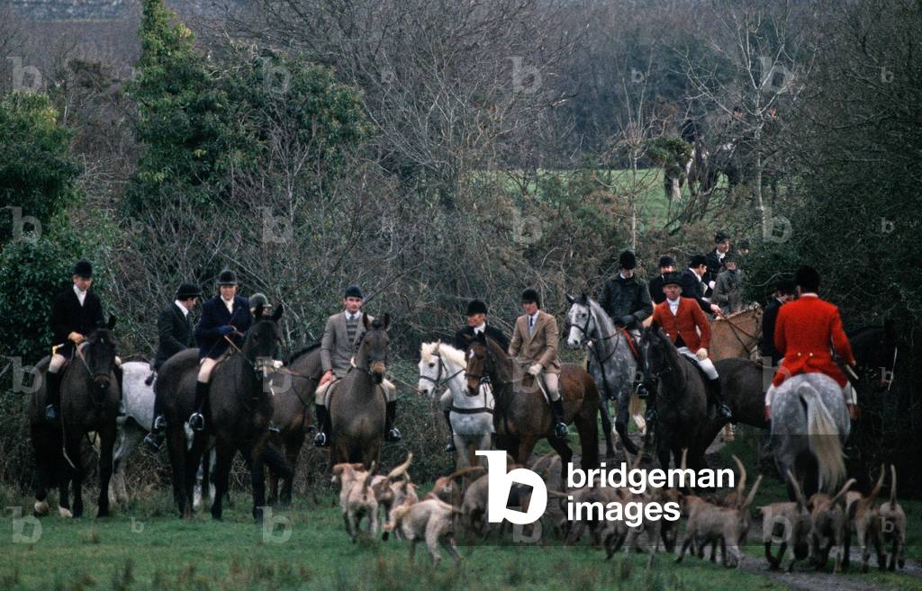 Fox Hunt Hunters With Hounds In Kilkenny Hunt, County Kilkenny, Ireland. Hunting Referred To By W. B. Yeats In 'Hound Voice'. (photo)