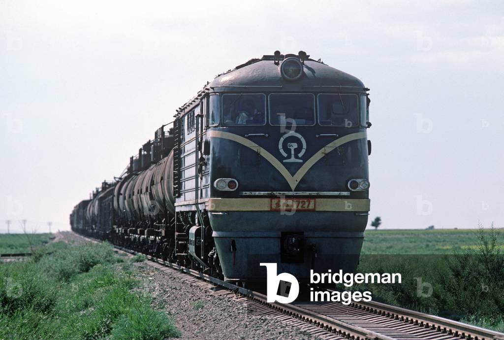 Diesel freight train, China (photo)