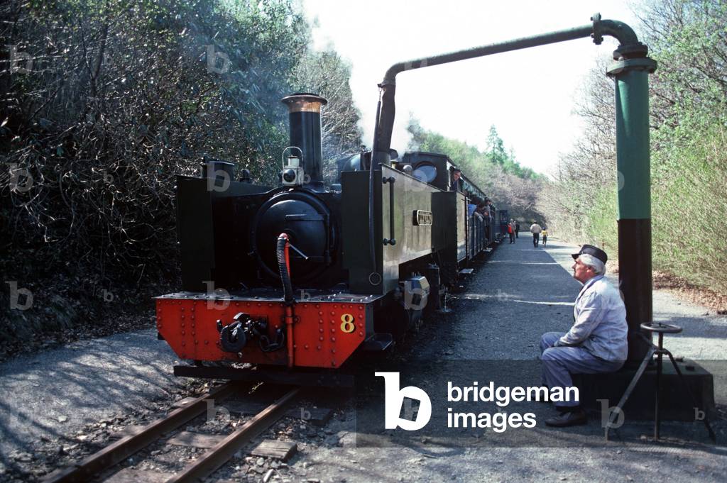 Steam train taking on water at Aberffrwd, on the Vale of Rheidol line, British Rail last operating steam trains, Wales, 1982 (photograph)