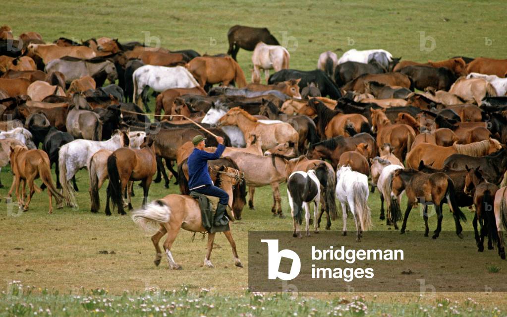 Horse breeders at work, Inner Mongolia grasslands, China, 1985 (photo)