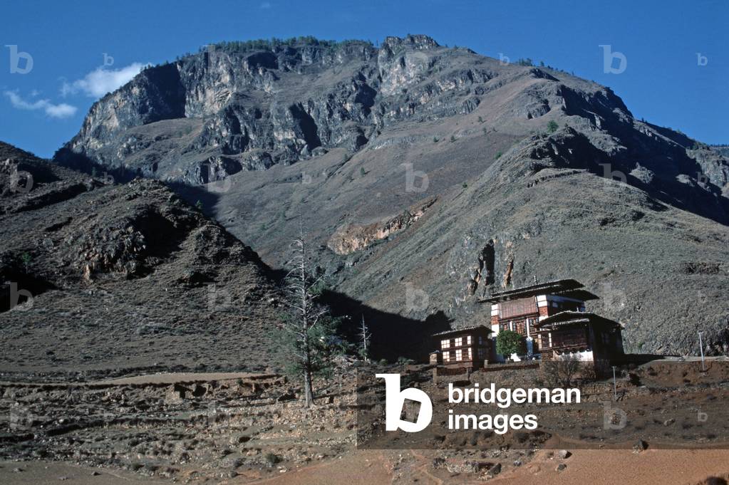 Bhutanese houses in Paro valley, Bhutan, Himalayas (photo)