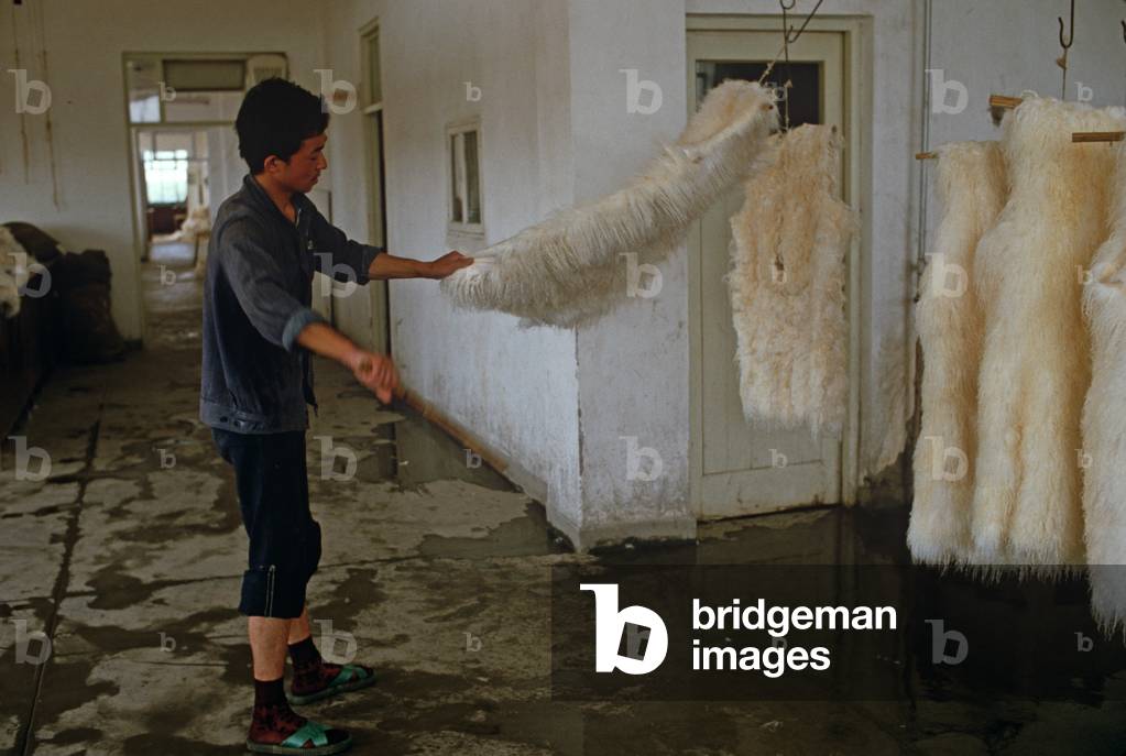 Washing furs in Harbin Fur Factory, Heilongjiang Province, China (photo)