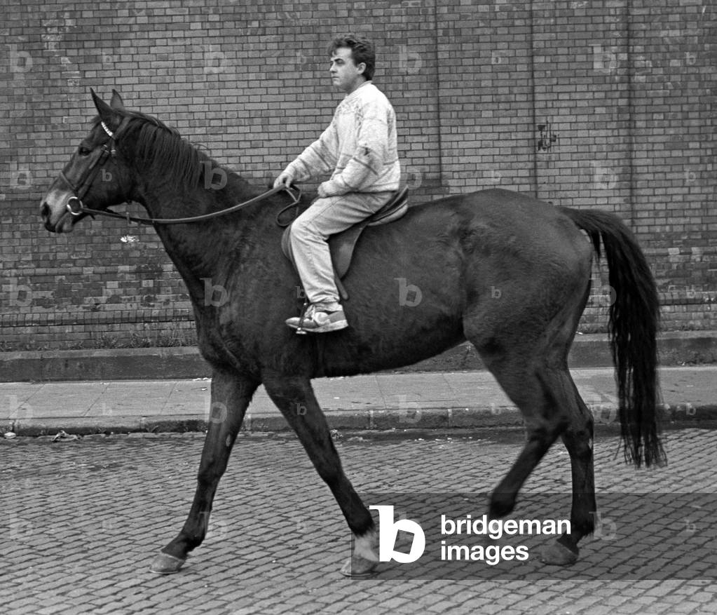 Horse for sale in Smithfield horse market, Dublin, Ireland, 90s