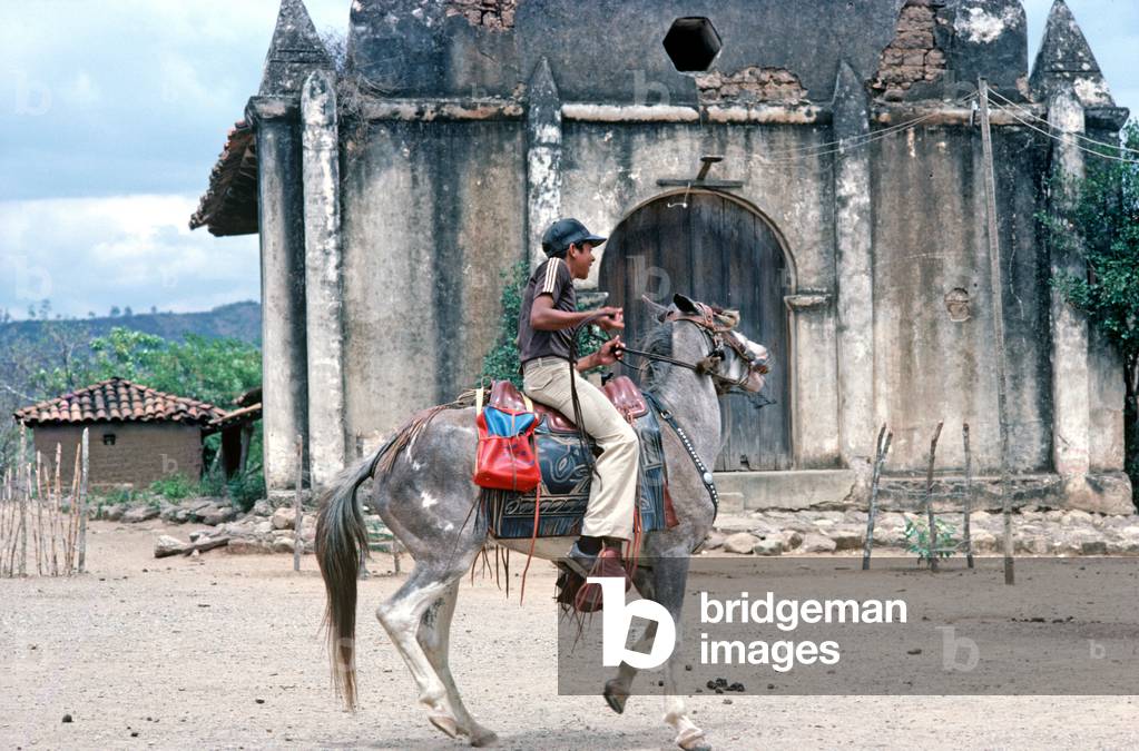 Ranchers horse, Nicaragua, Central America (photo)