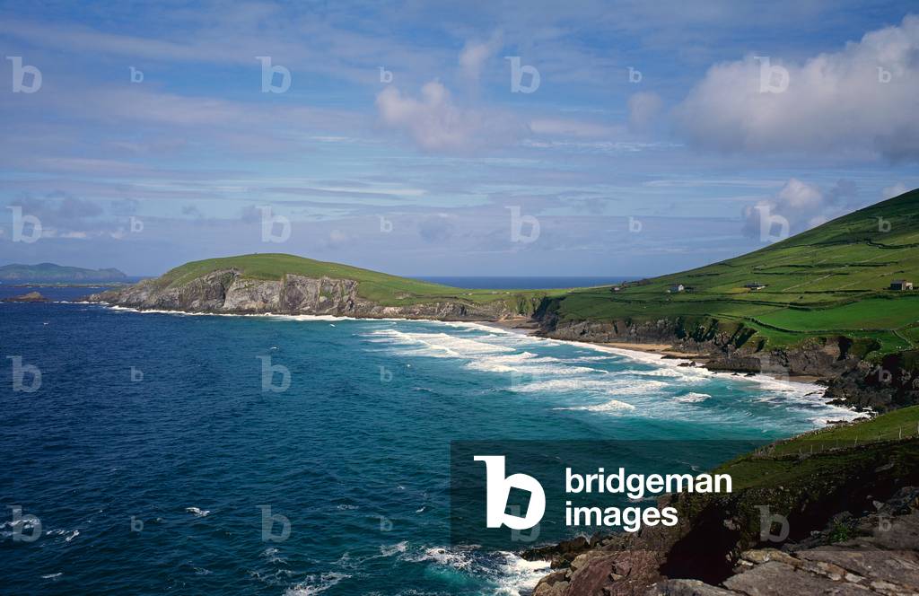 Dunmore Head, Dingle Peninsula, Ring of Kerry, County Kerry, Ireland (photo)