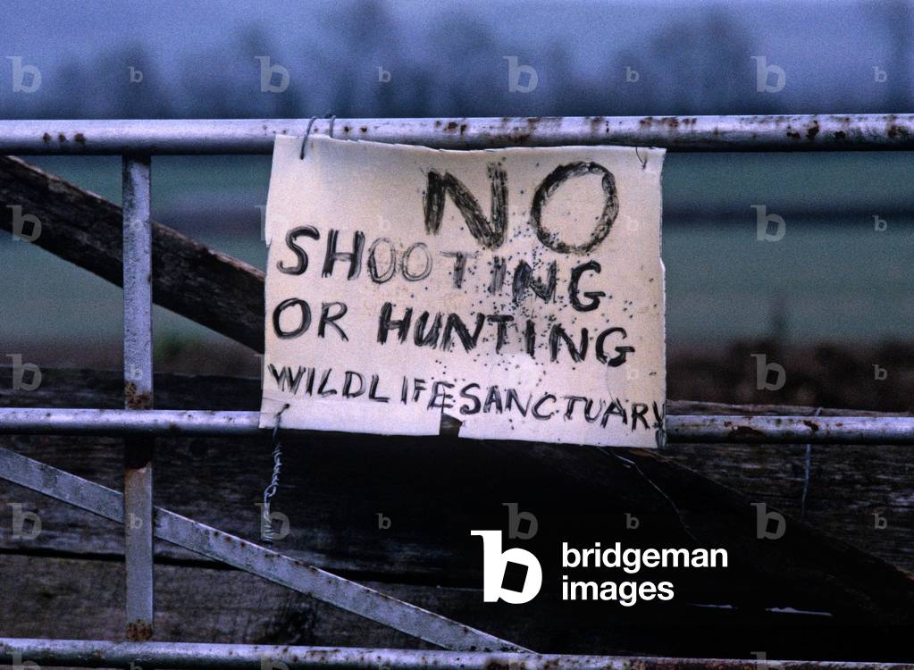 No Shooting And Hunting Sign On Farm Gate; County Kilkenny; Ireland. Hunting Referred To By Dramatist; Poet And Nobel Prize Winner W. B. Yeats In 'Hound Voice'.  (photo)