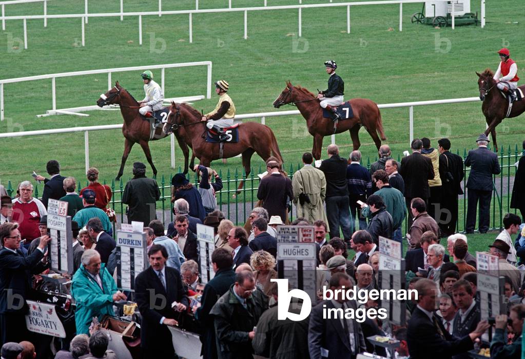 Leopardstown Races, home of Irish racing in Dublin, as referred to in James Joyce 'Ulysses', Dublin, Ireland (photo)