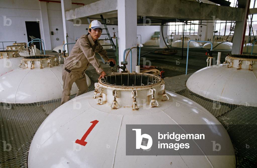 Rice wine fermenting vat in Shaoxing Rice Wine factory, Shaoxing, China (photo)