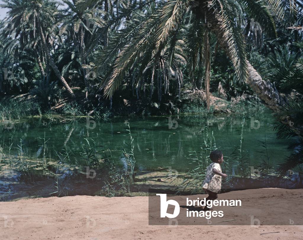 Child running through Tozeur oasis, South Tunisia, North Africa,  (photo)
