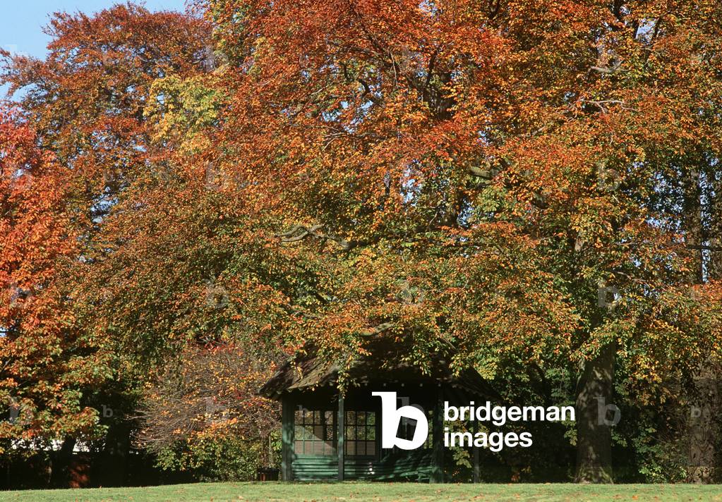 Autumn in Waterlow Park, North London, London, UK (photo)