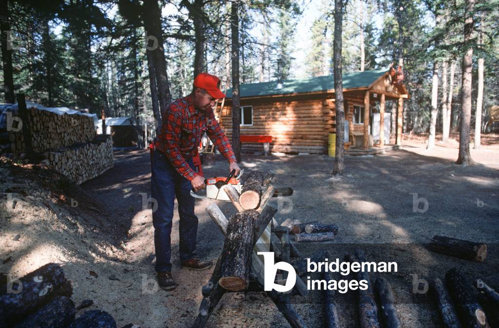 Cutting logs outside Yukon log cabin, Dawson City forest, Yukon Territories, Canada (photo)