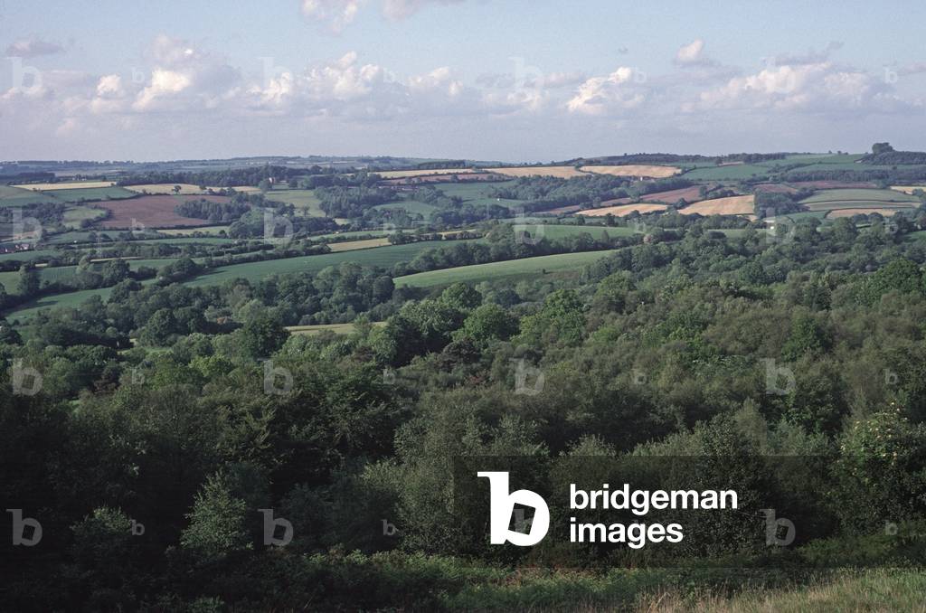 Typical Dorset landscape, Dorset County, England, Great Britain, UK (photo)