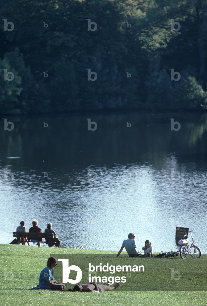 Summers day on Hampstead Heath, North London, England, UK (photo)