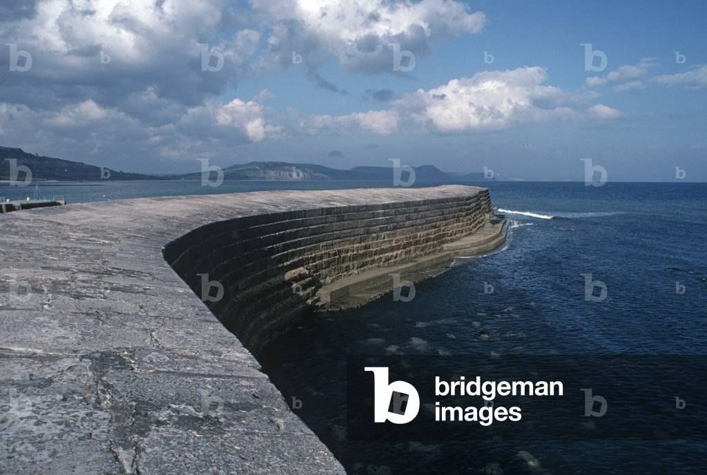 The Cobb, Lyme Regis, Dorset, England, Great Britain, UK (photo)