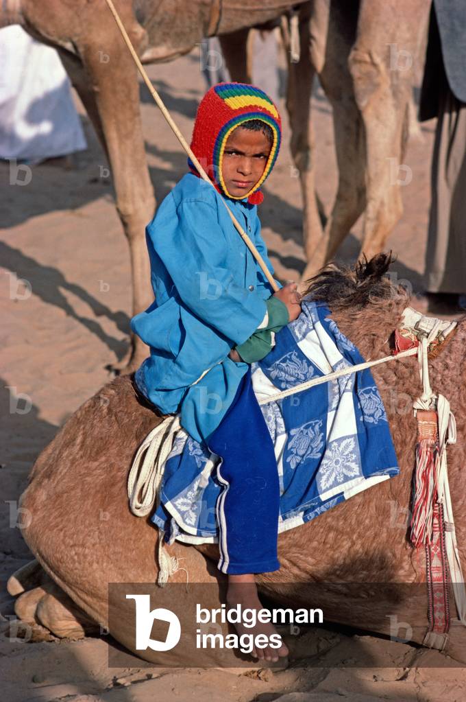 Camel racing jockeys at desert camel racing, Dubai, United Arab Emirates