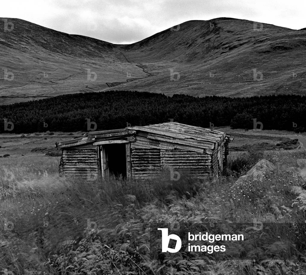 Sheep shelter, Mourne Mountains, Co Down, Northern Ireland (b/w photo)