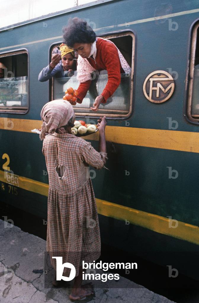 Food and drinks sellers at Perinet railway station, Madagascar, East Africa, Africa (photo)