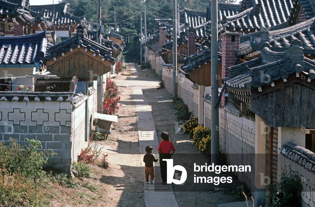 Typical South Korean village, South Korea, Asia (photo)