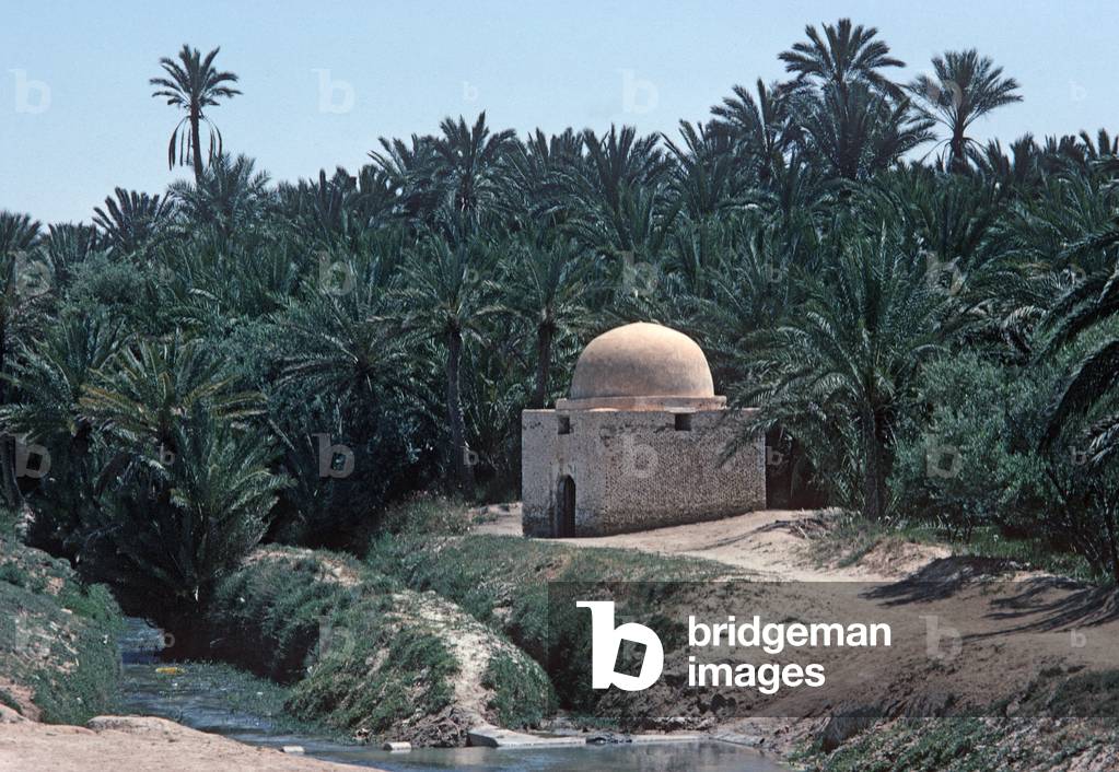 Mosque in Tozeur oasis, South Tunisia, Tunisia, North Africa (photo)