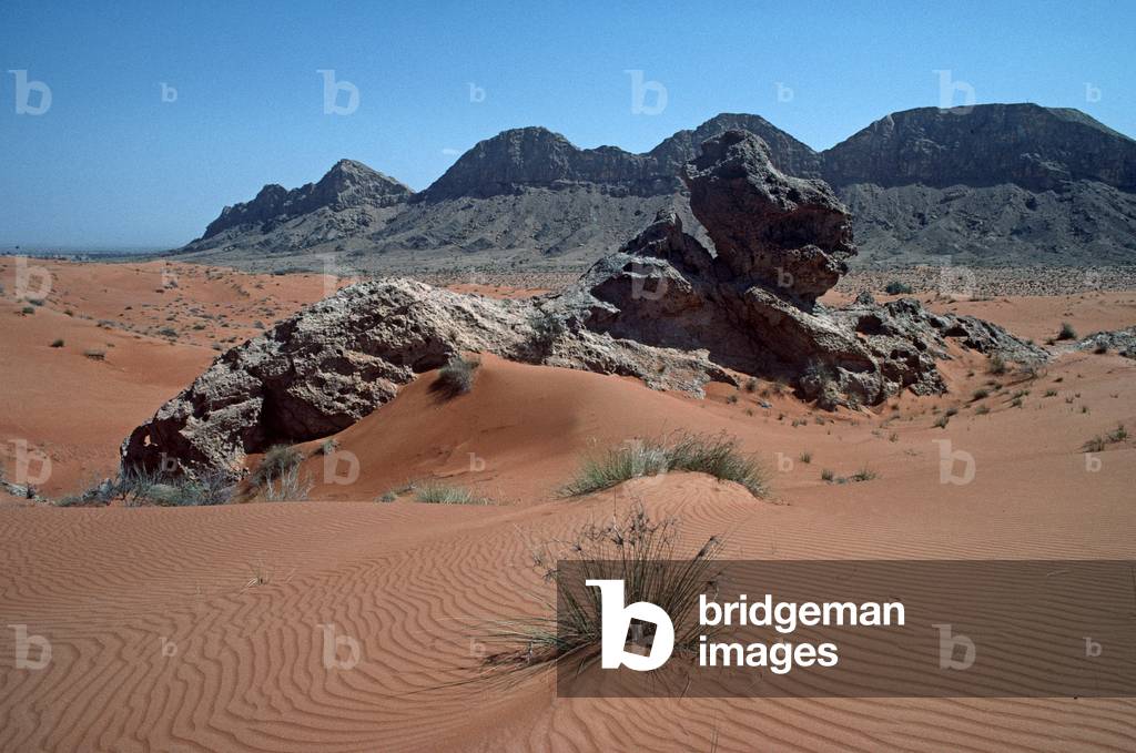 United Arab Emirates Desert, UAE