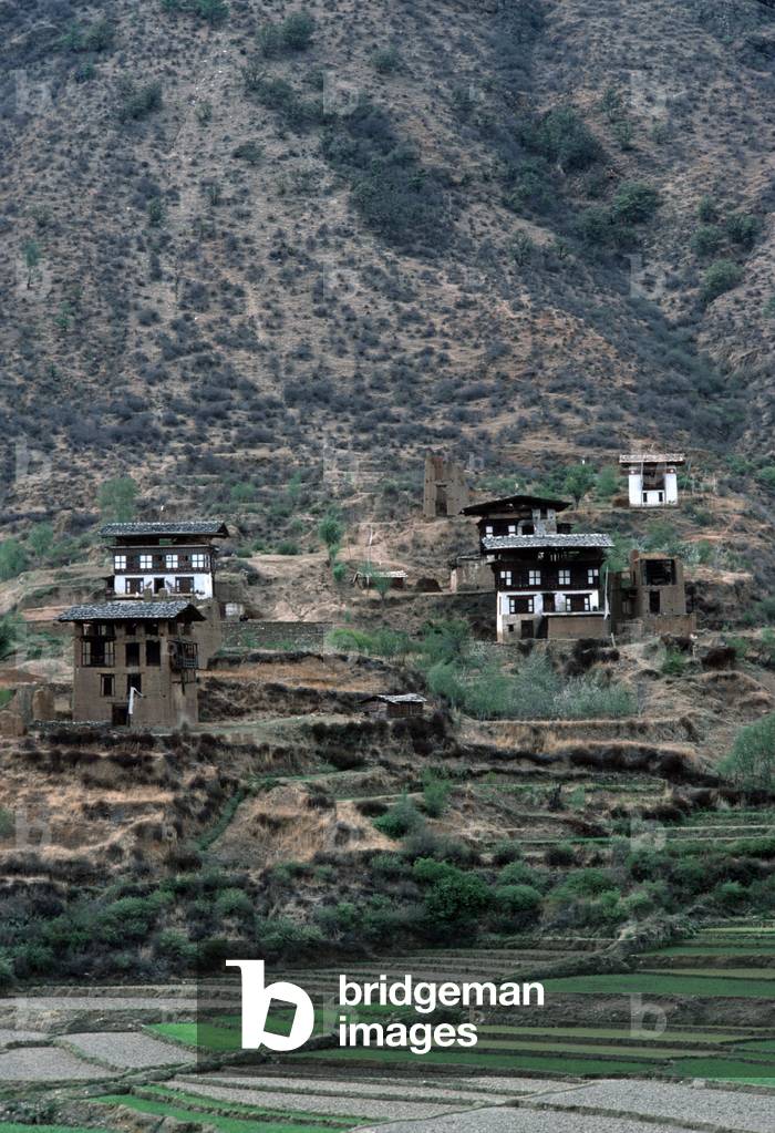 Bhutanese houses in Paro valley, Bhutan, Himalayas (photo)