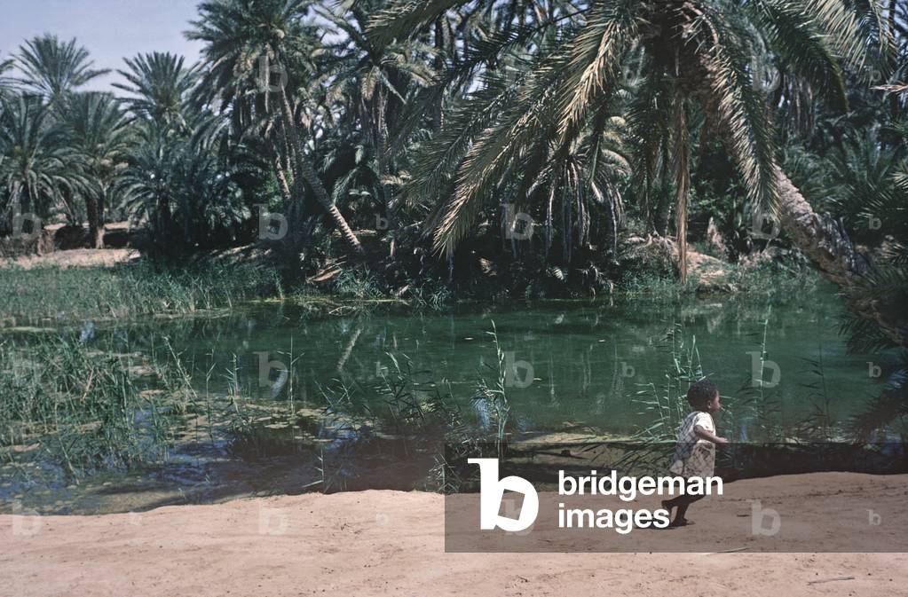 Child running through Tozeur oasis, South Tunisia, North Africa,  (photo)