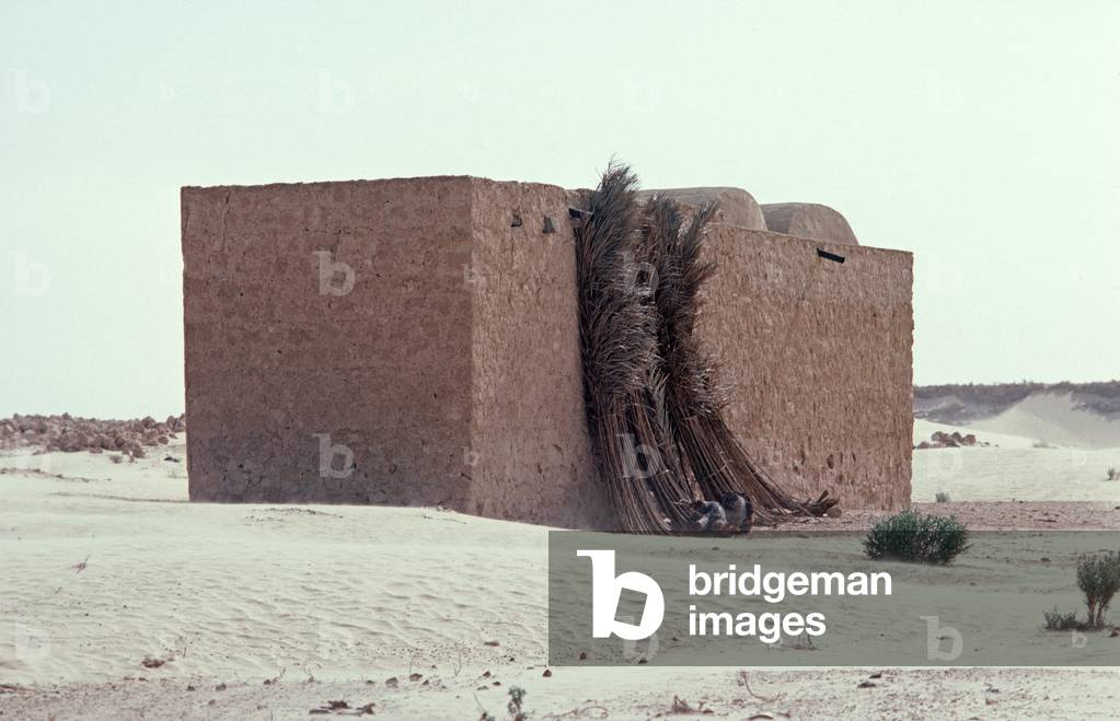 Date palm tree branches leaning against back of Arab Berber Sahara desert dwelling, South Tunisia, Tunisia, North Africa (photo)