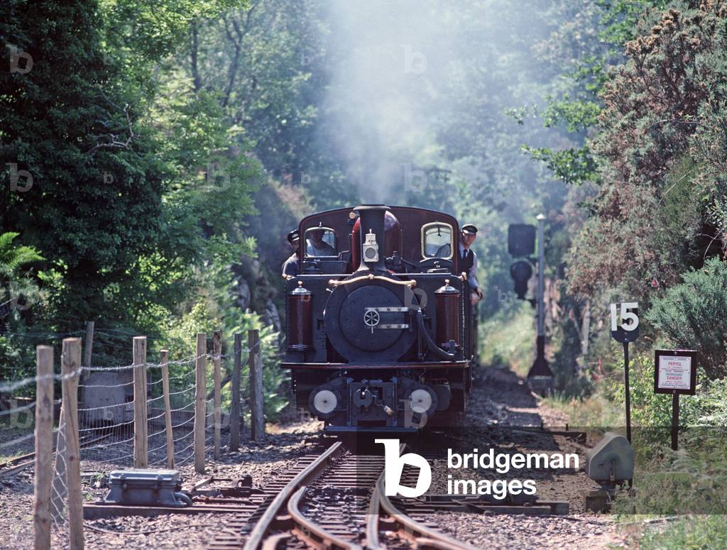 Steam locomotive approaching Tan-Y-Bwlch station, Gwynedd, North Wales, 1990 (photo)