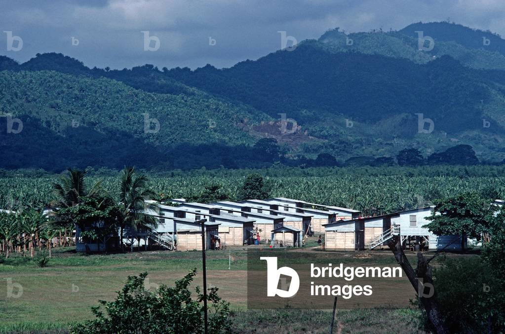 Banana plantation workers homes, Isletas banana plantation, Honduras (photo)