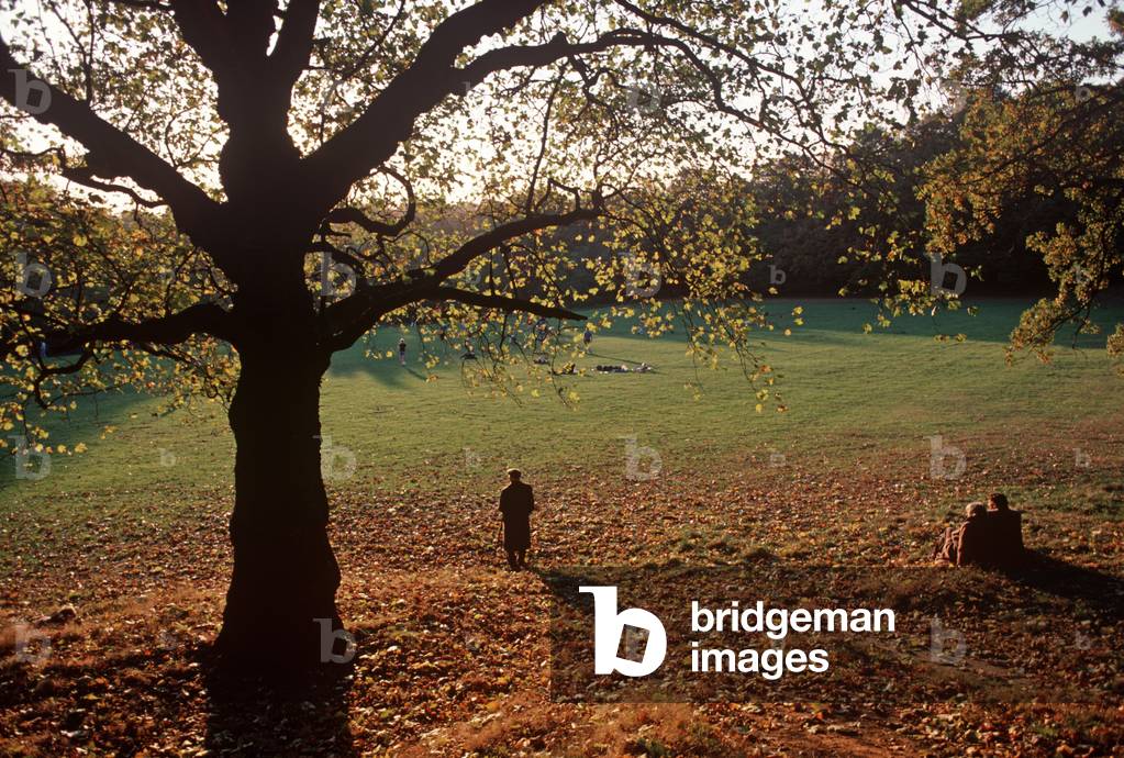 Autumn, Hampstead Heath, North London, England, UK (photo)